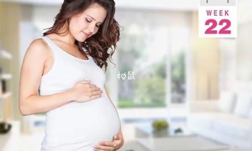 大金丸主治网 - 为你提供大金丸是什么药、大金丸子药全名叫什么