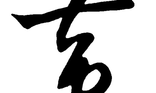 大金片功能主要治疗什么-大金丸主治网 - 为你提供大金丸是什么药、大金丸子药全名叫什么